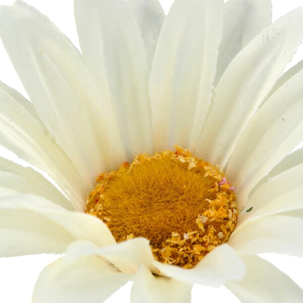 Daisy marguerit hvid h 57cm