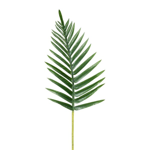 Palmeblad grøn h 65 cm