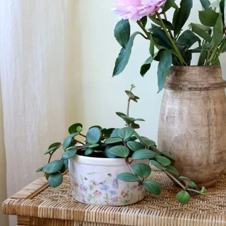 Papillon Fad m. blomster