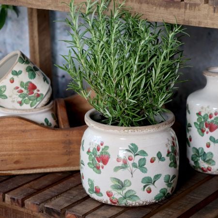 Fraises Skjuler m. jordbær