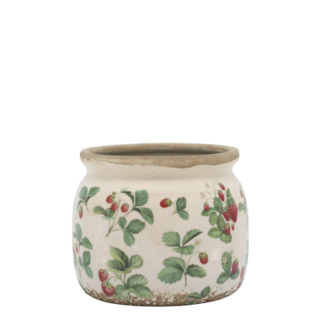 Fraises Skjuler m. jordbær