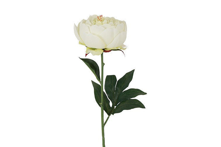 Peony hvid h 48cm