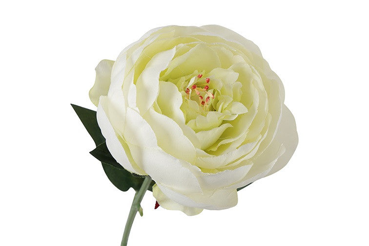 Peony hvid h 48cm