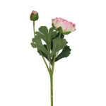 Ranunkel rosa h 34 cm