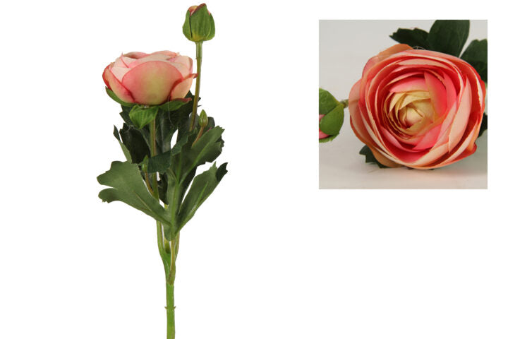 Ranunkel pink h 34 cm