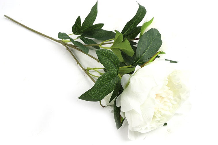Peony hvid h 73 cm