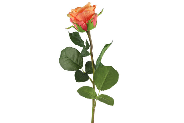 Rose orange H 70 cm