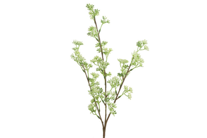 Kirsebærgren hvid h 65 cm