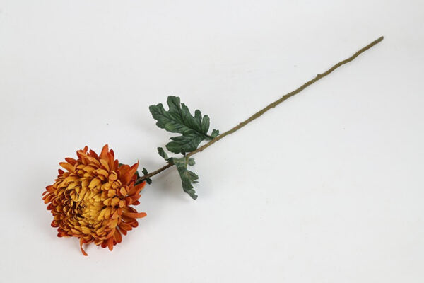 Chrysanthemum lys orange h 75 cm