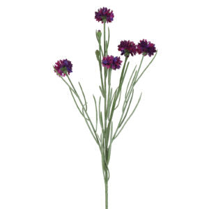 Kornblomst buket mørke lilla h 66 cm