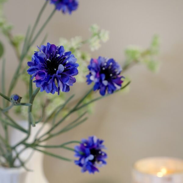 Kornblomst buket blå h 66 cm