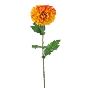 Dahlia orange h 75 cm