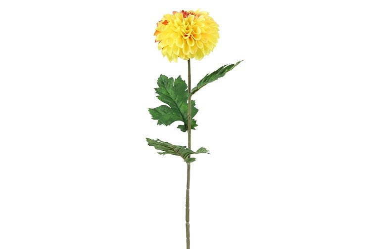 Dahlia gul h 75cm