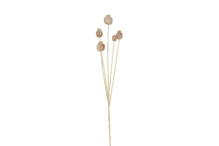 Valmue kapsler buket brun h 75 cm
