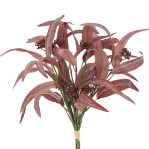 Eucalyptus rød bundt a 5 h 44