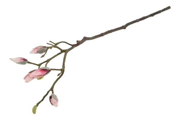Magnolia rosa h 73 cm