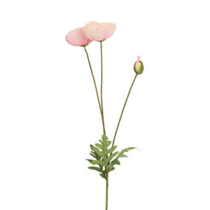 Valmue lys rosa h 95 cm