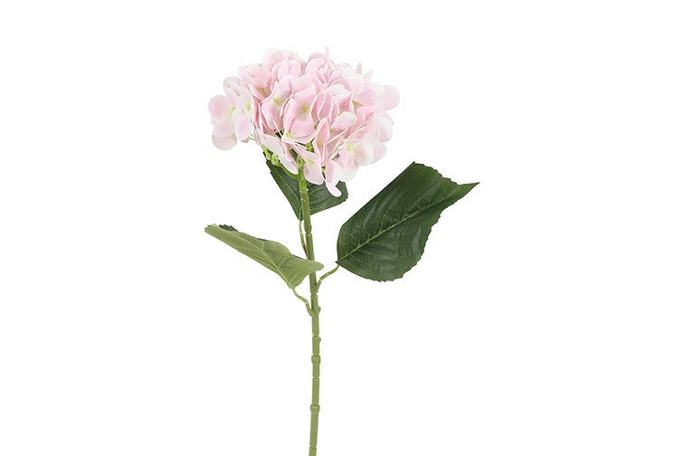Hortensia lys rosa h 65 cm