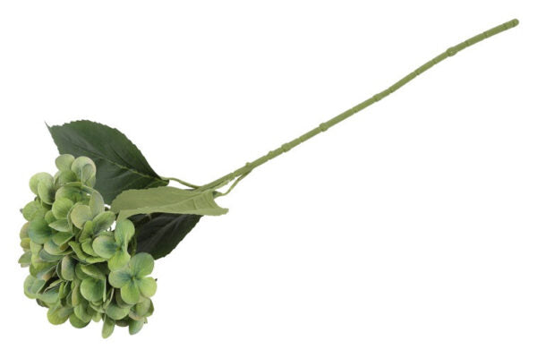 Hortensia grøn h 65 cm