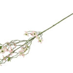 Cornus gren rosa/grøn h 92 cm