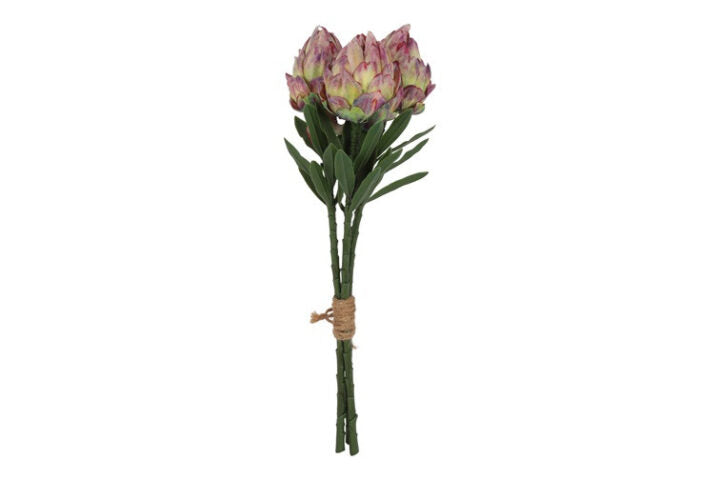 Artiskok purple h 36 cm