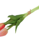 Tulipan bundt peach h 29 cm