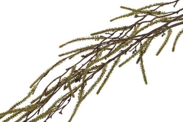Hænge salix grøn l 132 cm
