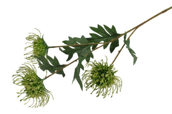 Protea grøn h 71 cm