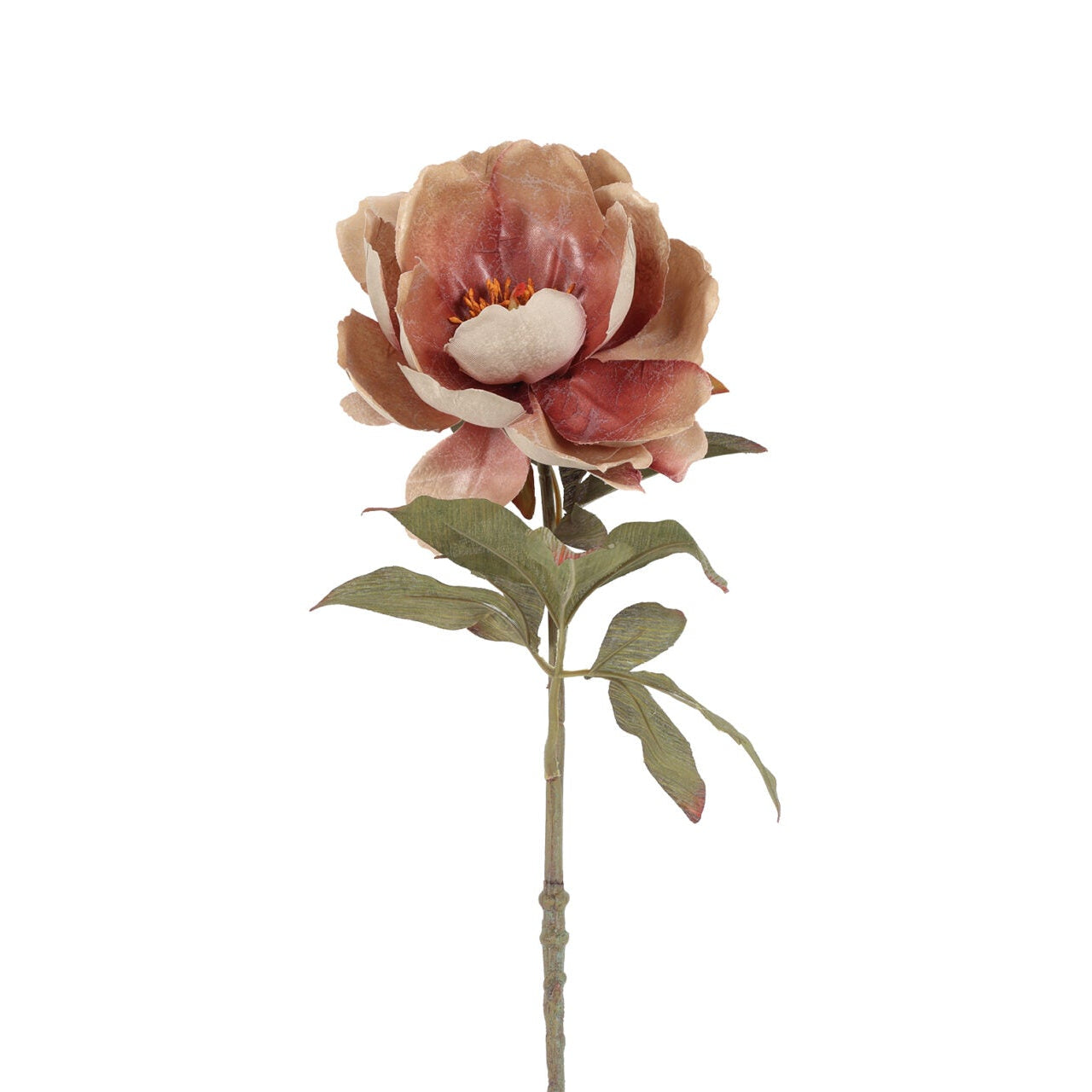Peony sand h 56 cm