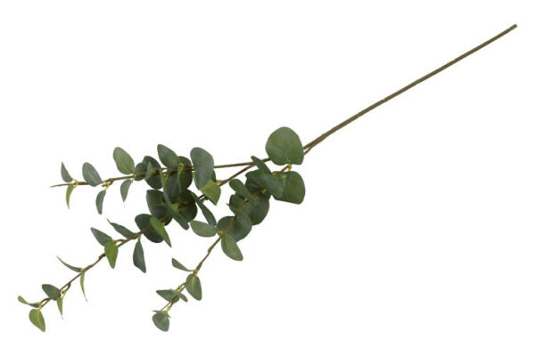 Eucalyptus grøn h 74 cm