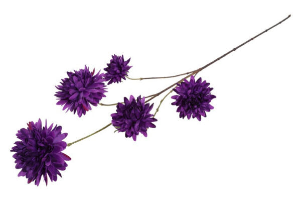Dahlia purple h 48 cm