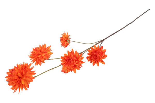 Dahlia orange h 48 cm