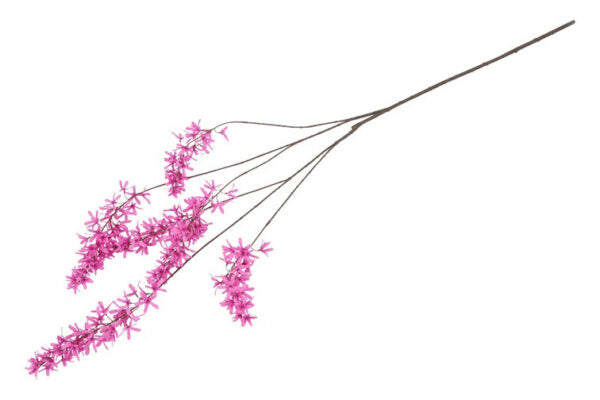 Blåregn pink h 105 cm