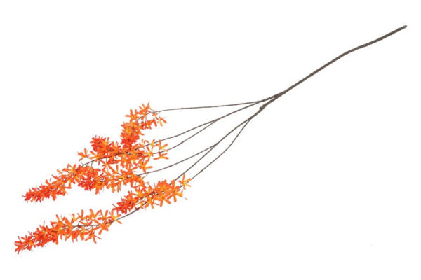 Blåregn orange h 105 cm