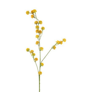 Trifolium gren Gul 89 cm