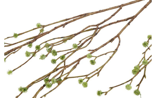 Mandstro gren grøn 100 cm