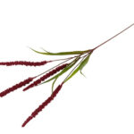 Græs bordeaux H 94 cm.