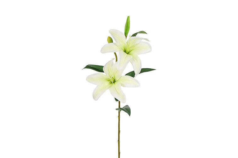 Lilje hvid h 61 cm