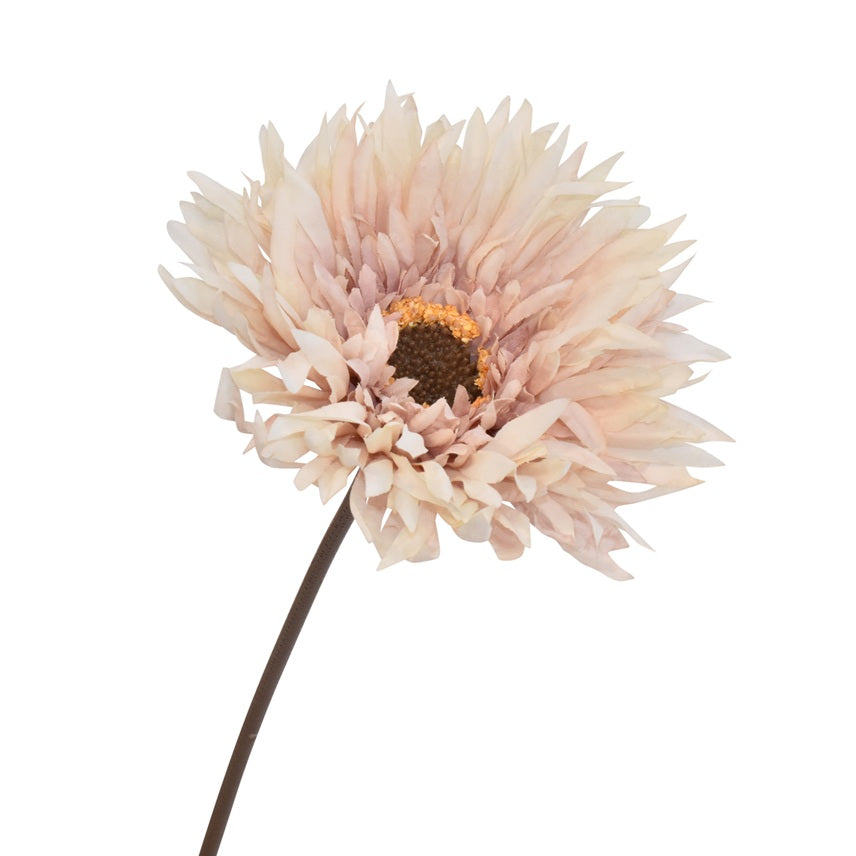 Gerbera H43 Rosa
