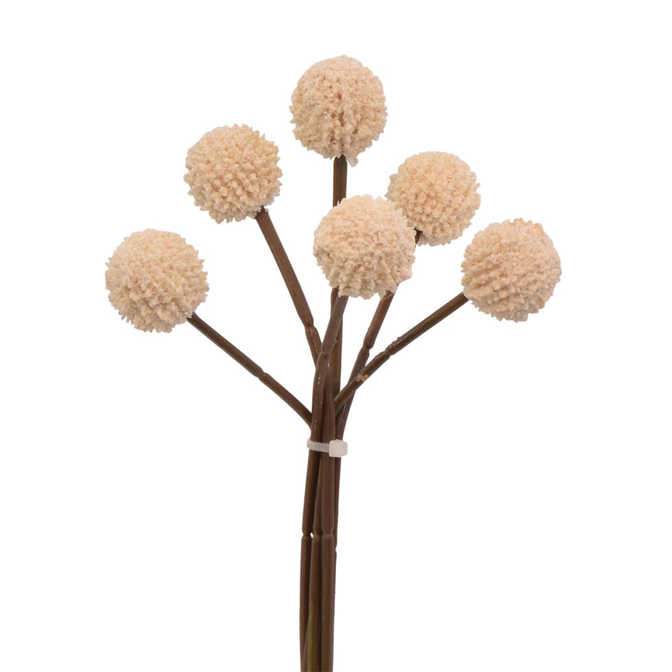 Snowball H26 Cream