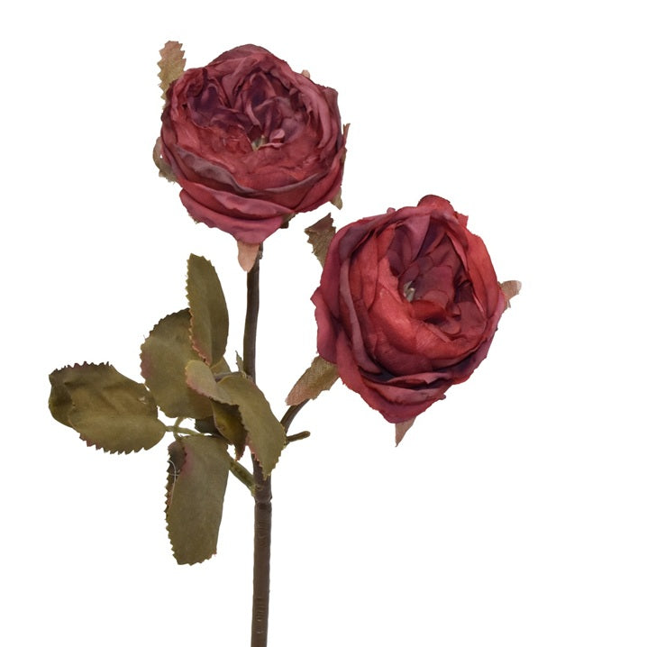 Rose H32 Rød