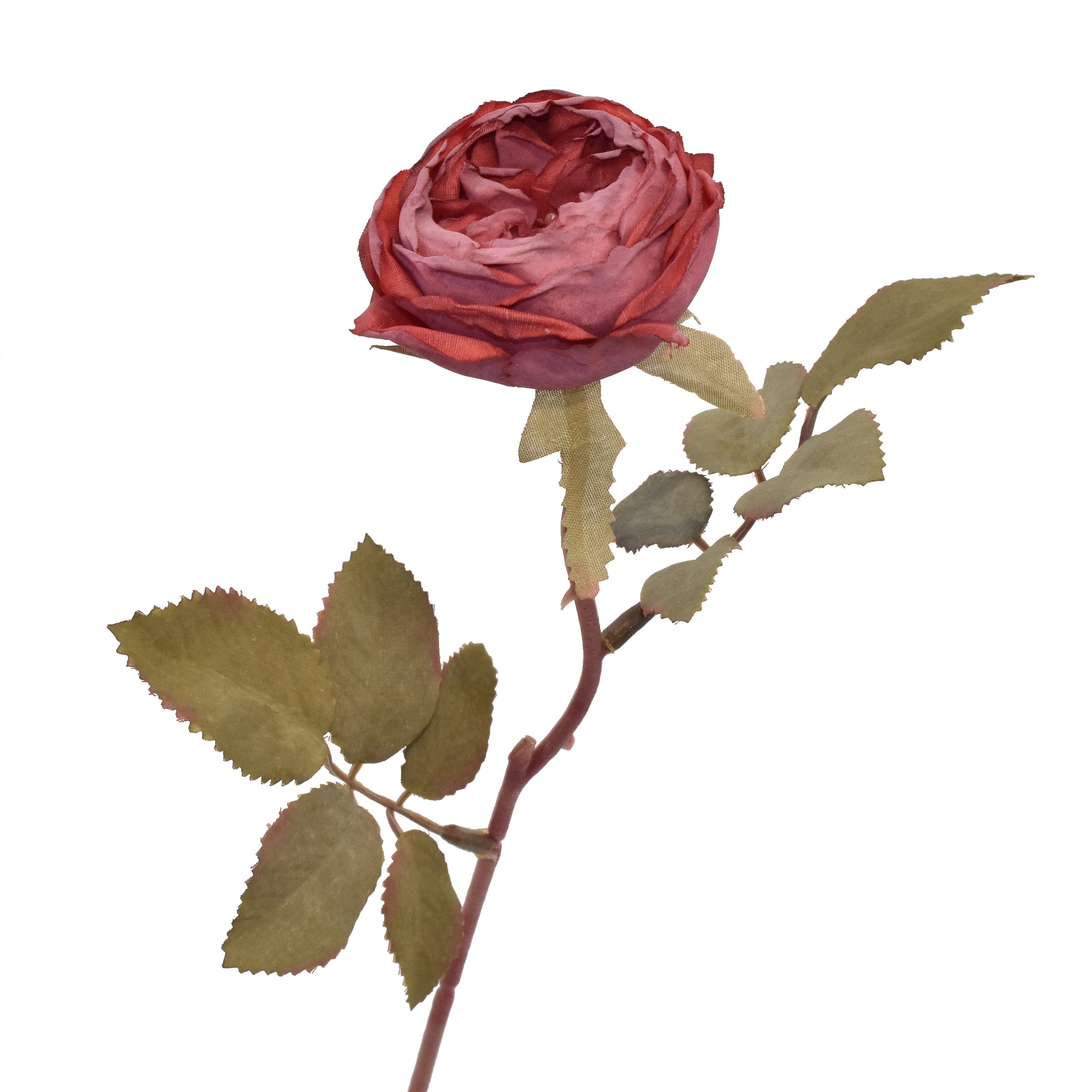 Rose H39 Rød