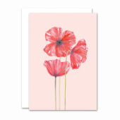 Poppy