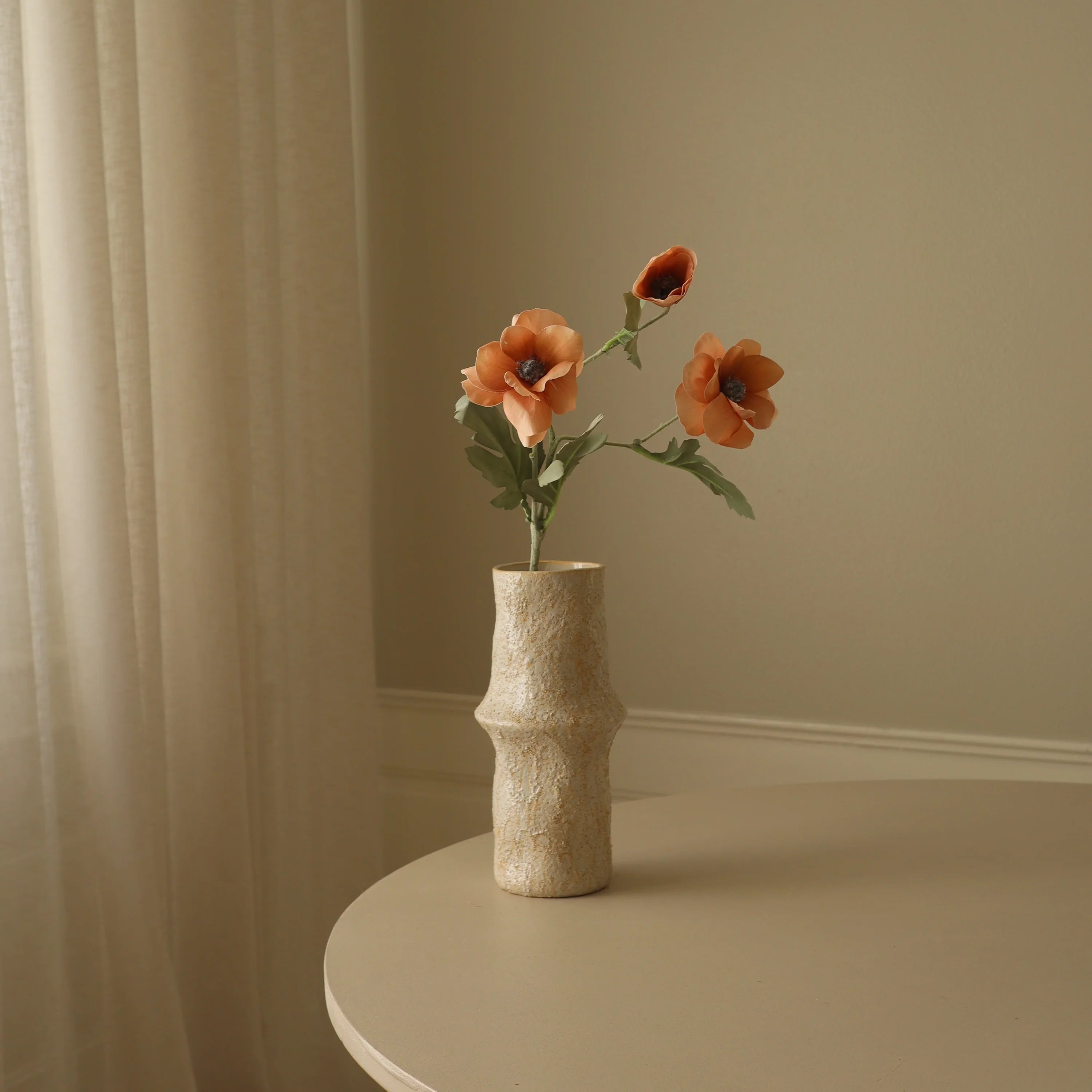 Champagne Anemone Blomst