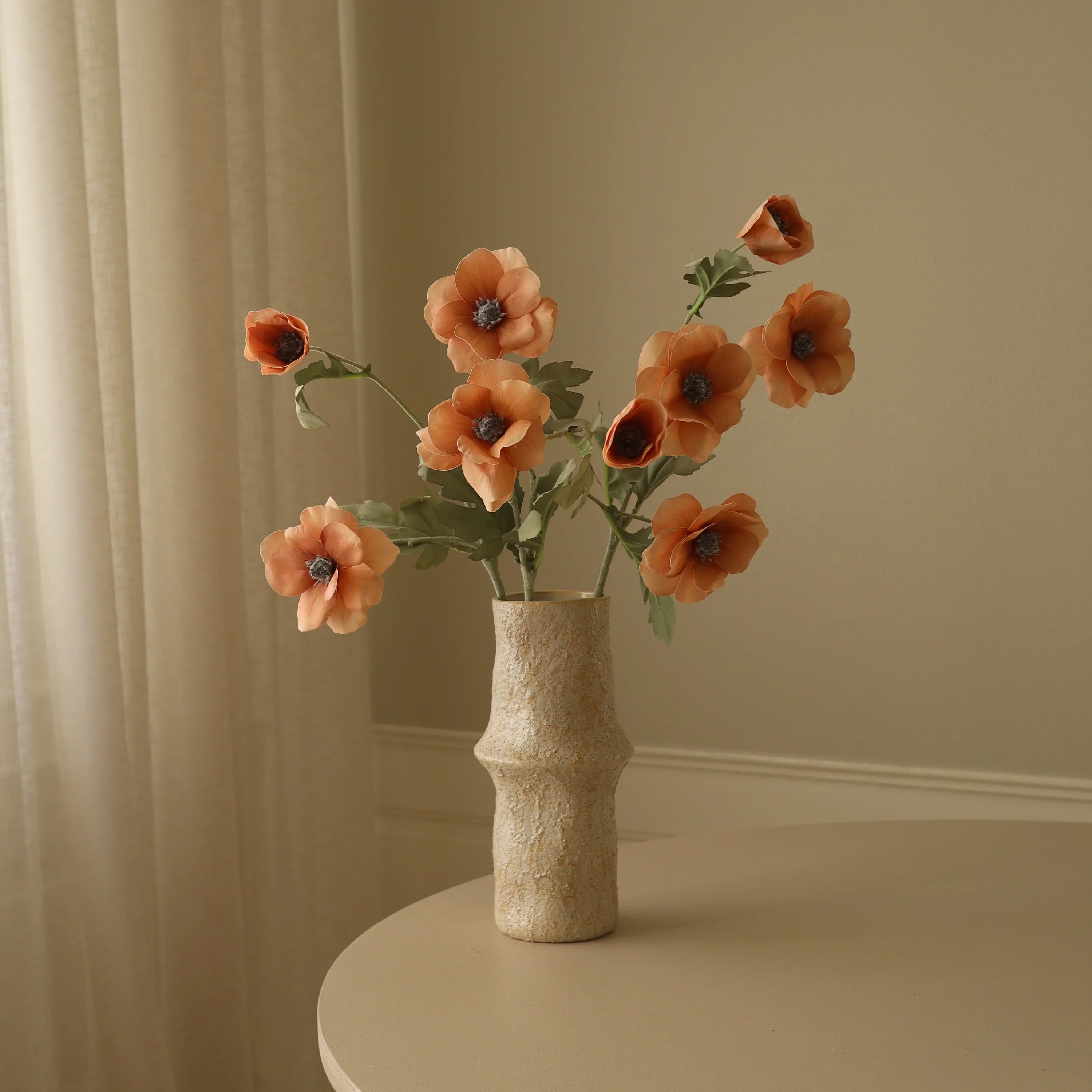 Champagne Anemone Blomst