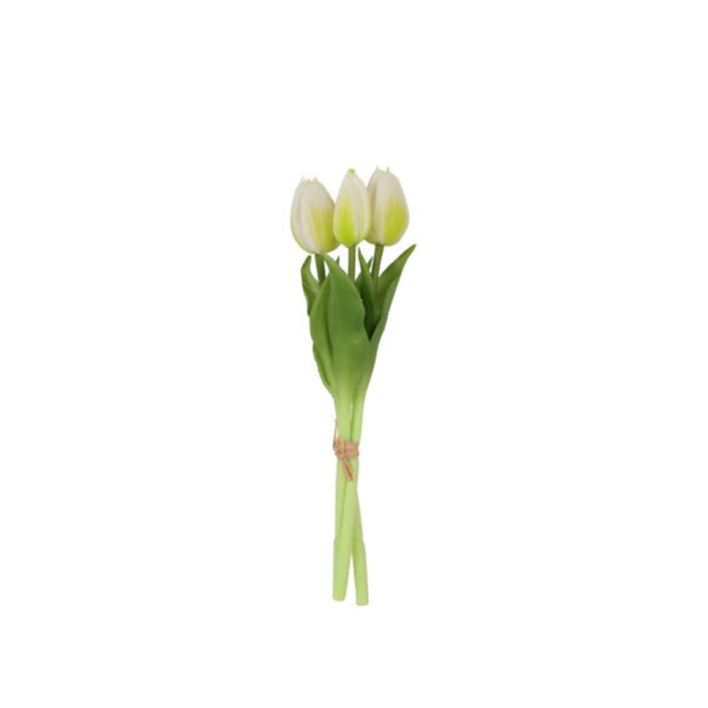Tulipaner
