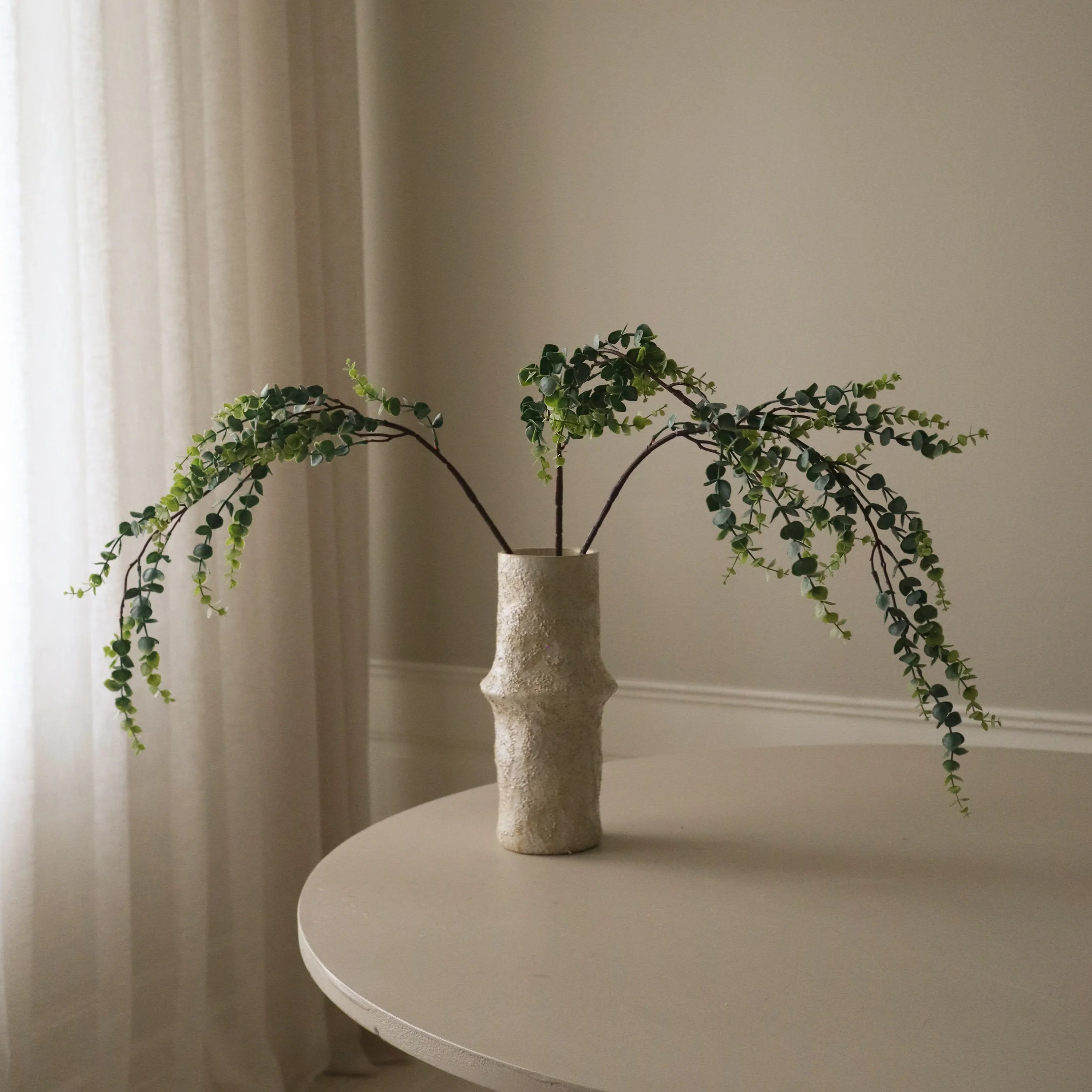 Grønne Parvifolia "Gunni" Eucalyptusblade