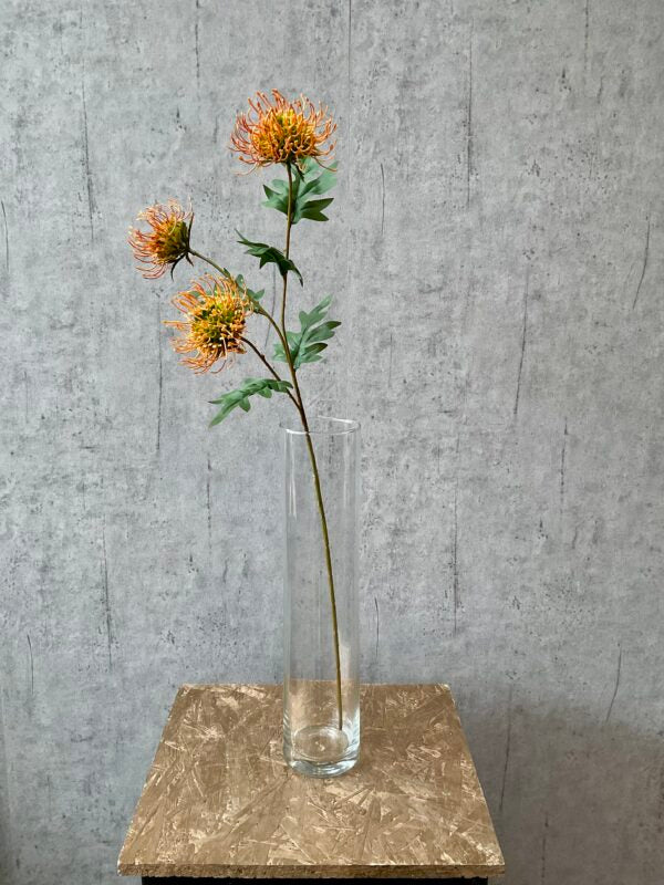 Protea orange h 71 cm