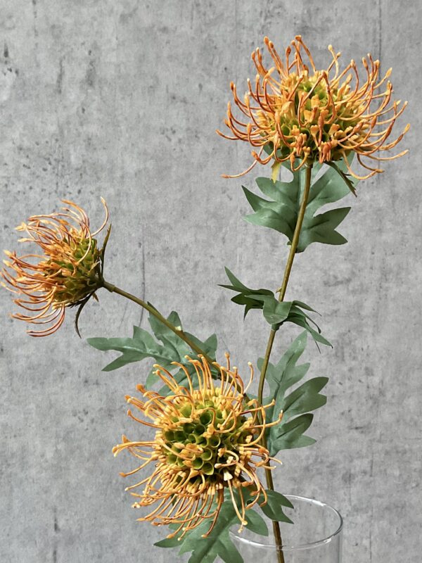 Protea orange h 71 cm