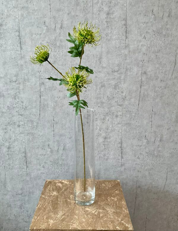 Protea grøn h 71 cm